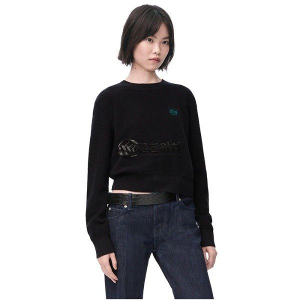 ✨로에베 여성 라운드 스웨터